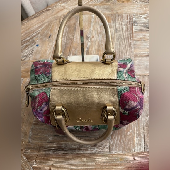 Coach Ashley - Picture 9 of 16